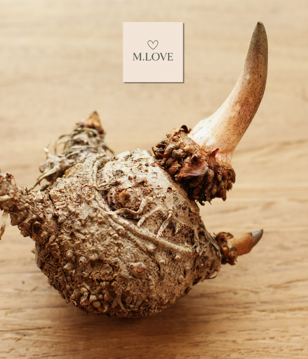 A ciência da saciedade: como ensinar o corpo a comer menos e nutrir-se melhor